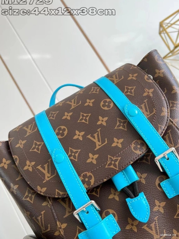 WIS Christopher Backpack Louis MM-38*44*12.5CM Vuitton 1009
